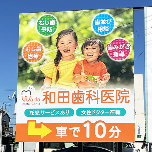 3351_wadasika1